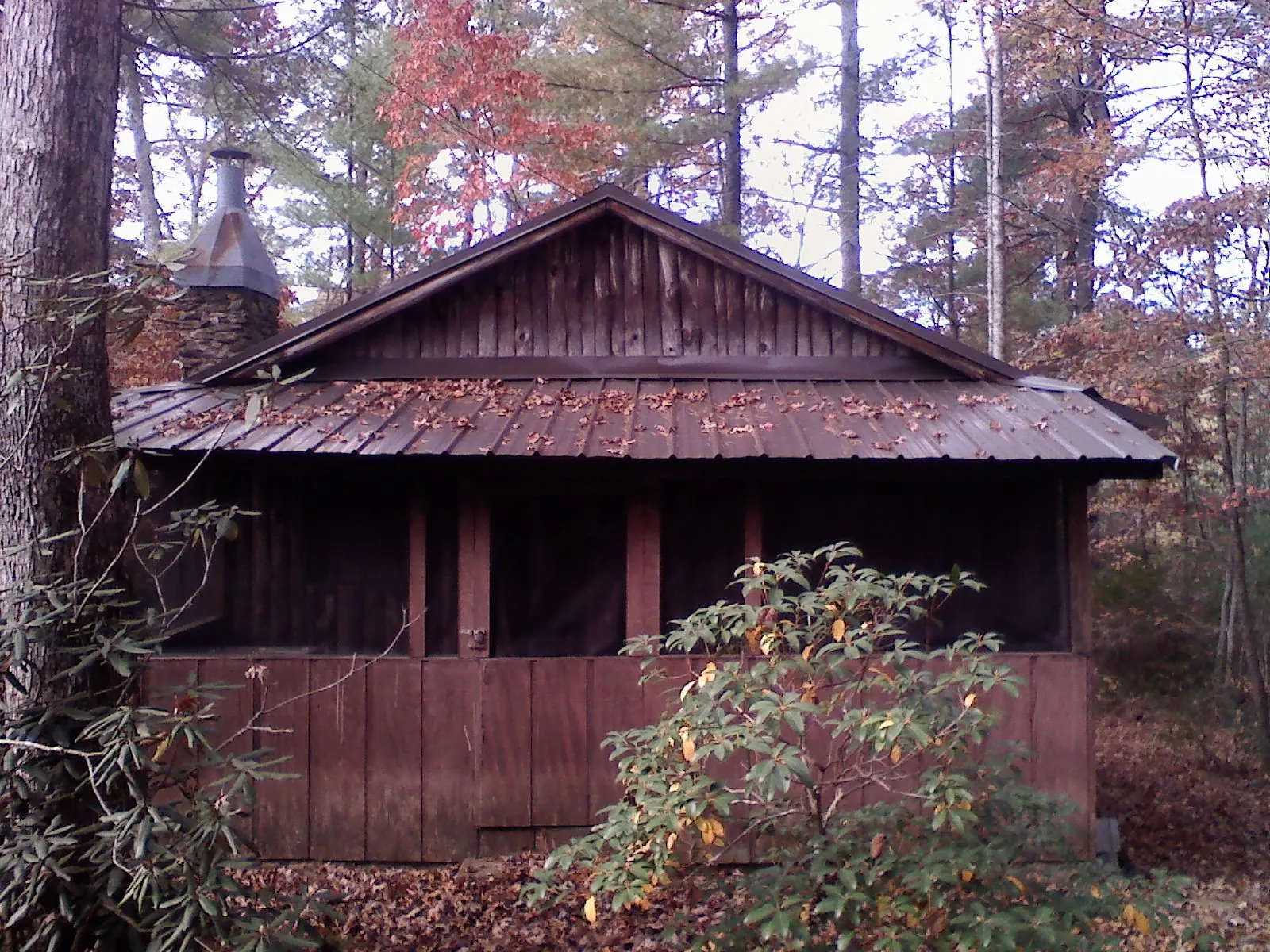Metal roof over the screened porch of a rustic cabin in Springdale