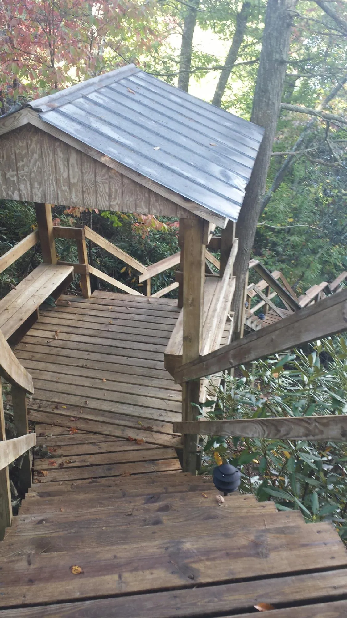 Metal roofed shelter over wooden steps on a wooded walkway — Skylight Repair & Installation work by our crew in Springdale